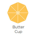 Farbe: Butter Cup