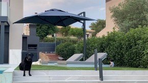 Astro Carbon | 300x300cm | T7N-Weiss